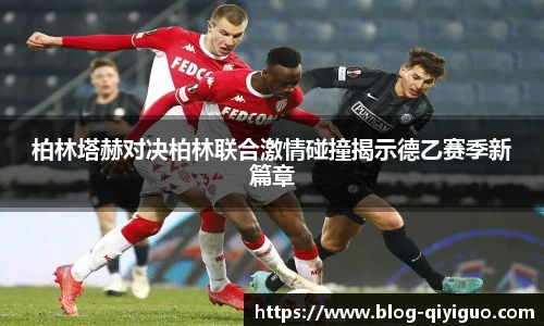 奇异果体育官网入口
