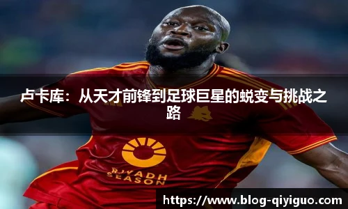 奇异果体育官网入口